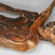 Ötzi’s remains. (Image: University of Padova)